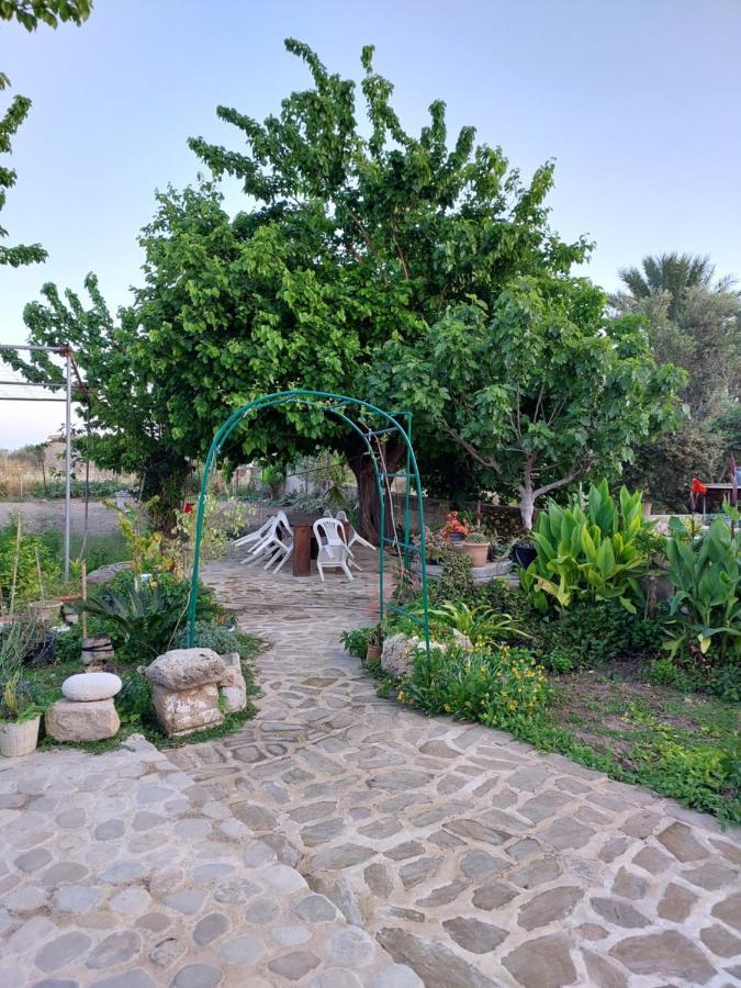 La Medusa Gardens Iskele District  エクステリア 写真